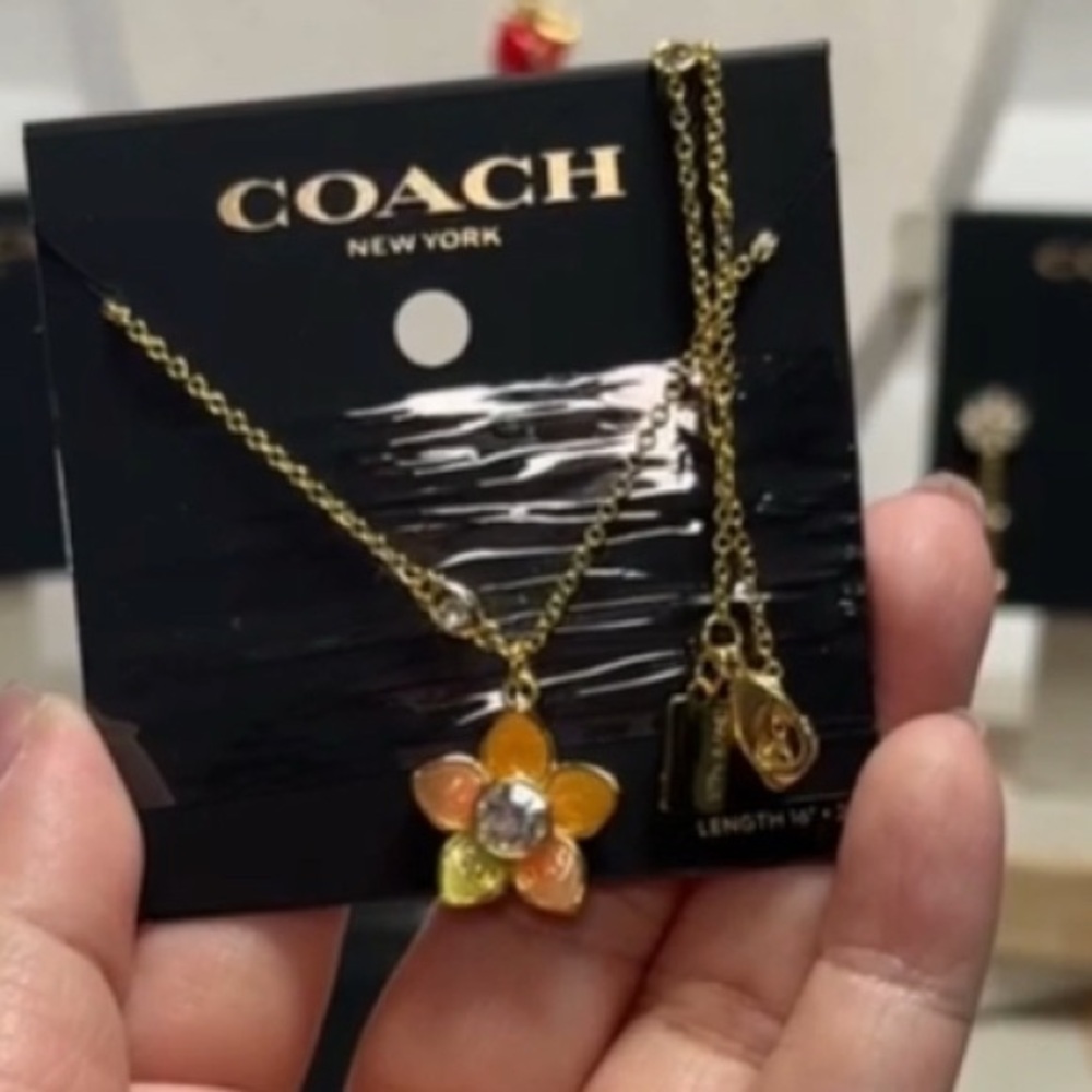 NWT Coach Transparent Wildflower Necklace - Picture 4 of 6